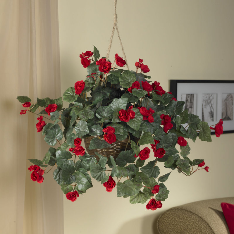 Charlton Home Silk Begonia Hanging Ivy Plant in Basket & Reviews Wayfair
